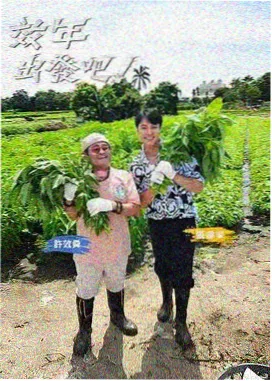 画风线站点封面